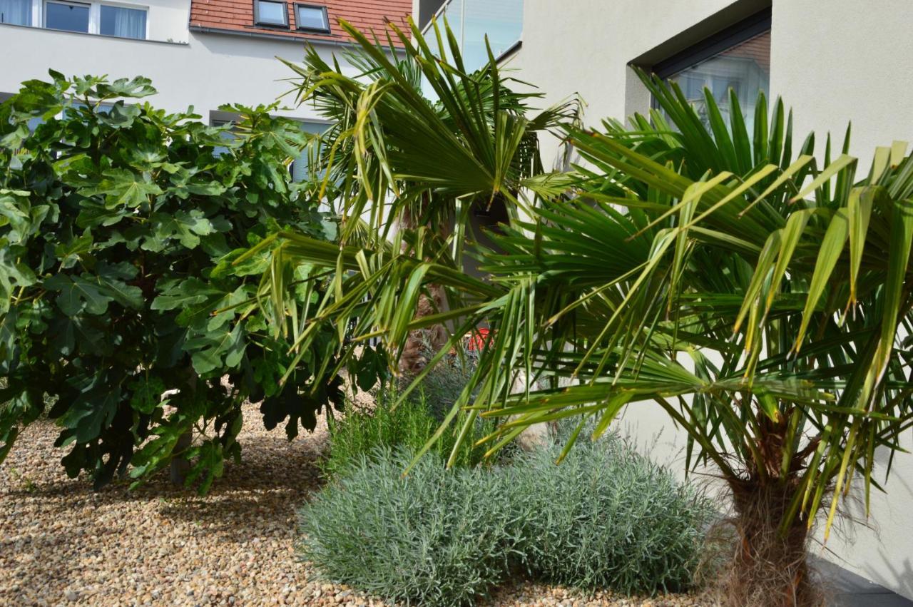 Palm Garden Apartment 1 Mikulov Kültér fotó