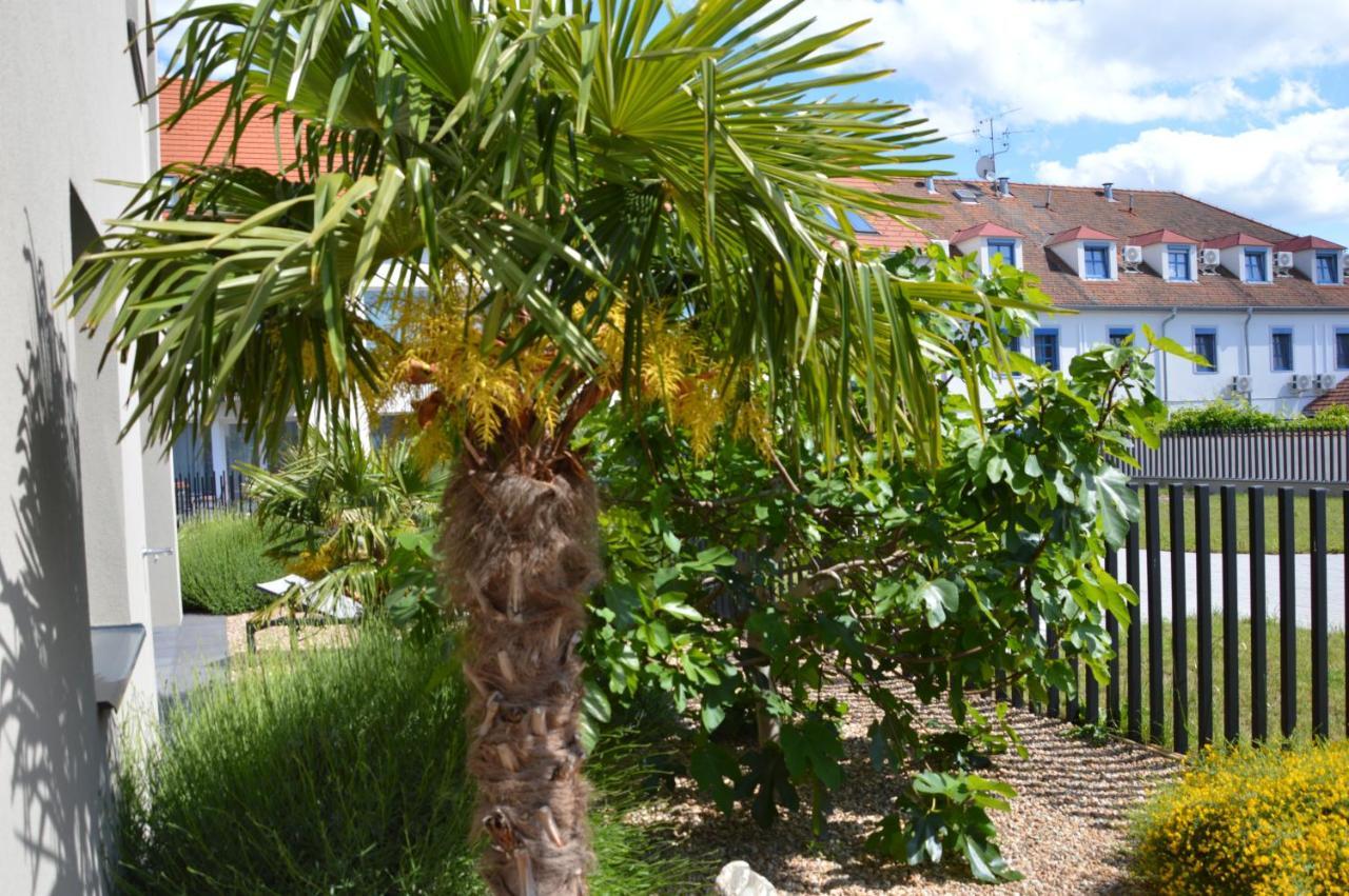 Palm Garden Apartment 1 Mikulov Kültér fotó