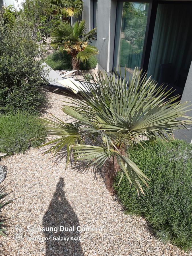 Palm Garden Apartment 1 Mikulov Kültér fotó